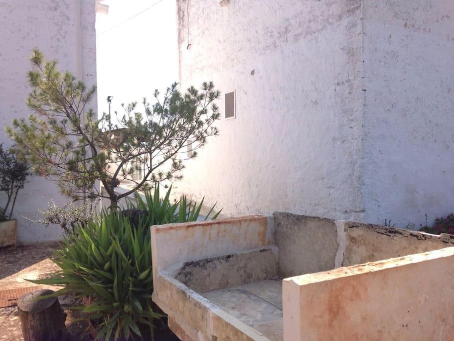 Villa Casa Stella Nell'Aia Cisternino Exterior foto